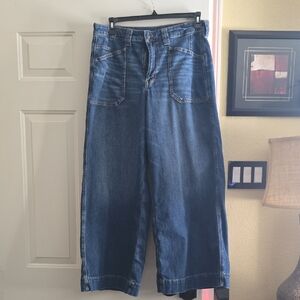 American Eagle Outfitters Dark Blue Wide Leg Jeans